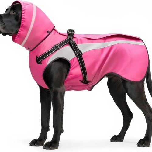 Hooded Rain Poncho for Small Medium Dogs