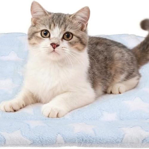 Dual purpose cat and dog mat