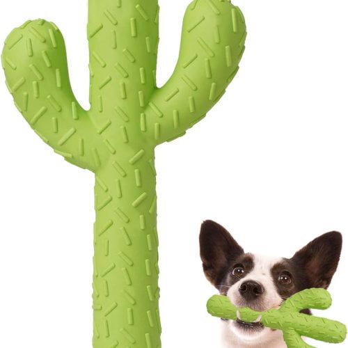 Durable Rubber Cactus Chew Toy for Small & Medium Aggressive Chewers, Training & Dental Cleaning Interactive Toy