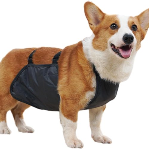 Breathable Corgi Belly Vest Rain Protector