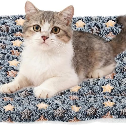 Dual purpose cat and dog mat