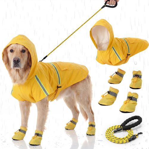 Yellow Raincoat Shoes and Leash Set