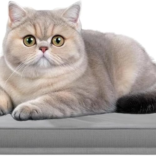Scratch resistant pet bed