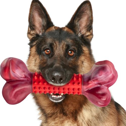Beef Flavor Nylon & Rubber Chew Bone for Aggressive Chewers, Ideal for Medium to Large Dogs